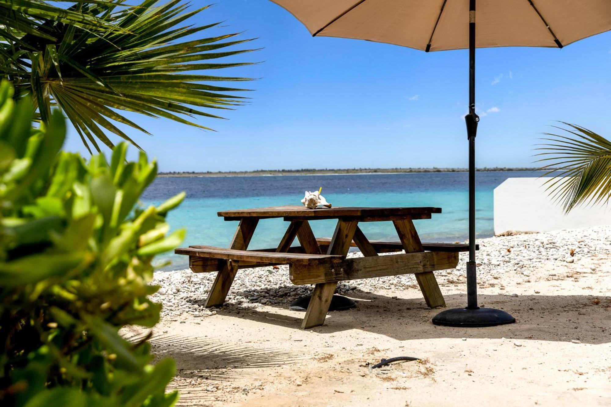 קרלנדיק Oceanfront - Villa Port Of Call - מראה חיצוני תמונה
